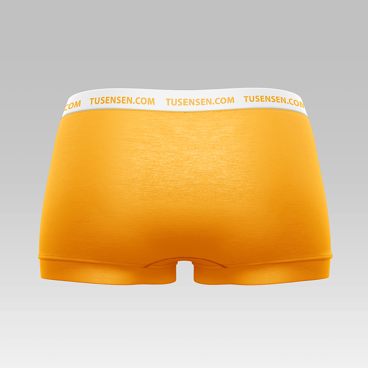 女士内裤短裤样机mockup3组插图1