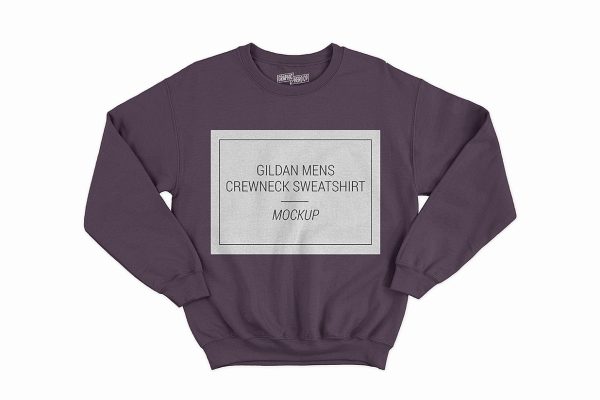 圆领卫衣样机mockup2组